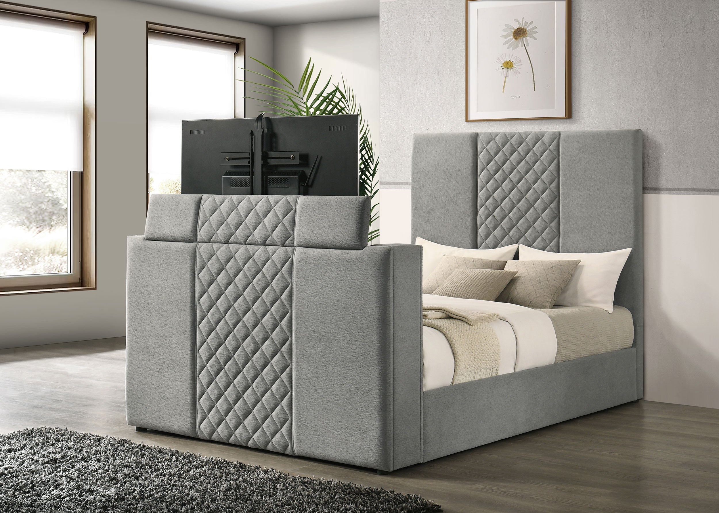 Tara Panel TV Bed