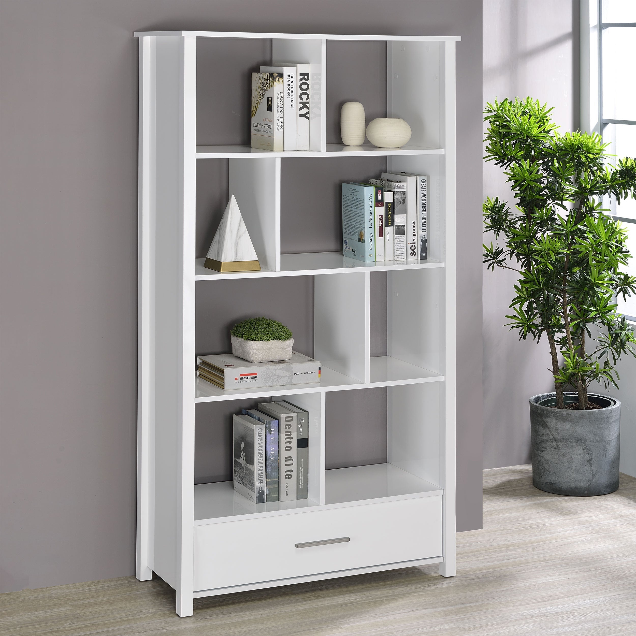 Dylan Bookshelf